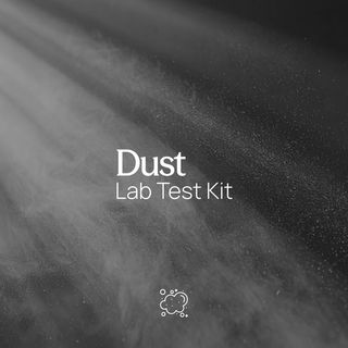 Allergens & Dust Test